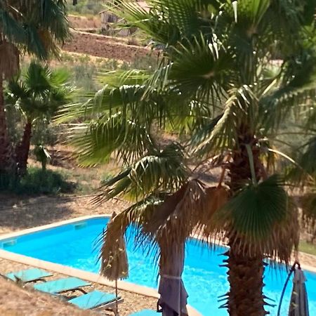 La Venturonne Appartement Neuf Rez De Jardin 45 M2 Vue Mer Et Vignes 10 Mn Des Plages Le Beausset Exteriér fotografie