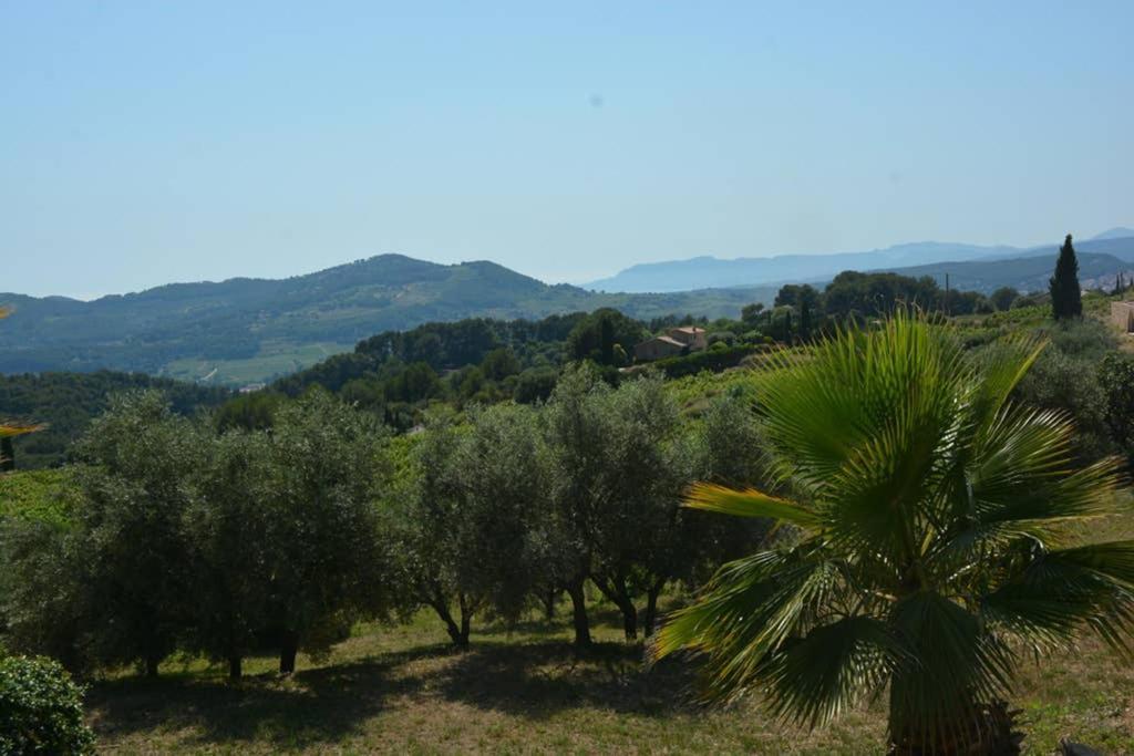 La Venturonne Appartement Neuf Rez De Jardin 45 M2 Vue Mer Et Vignes 10 Mn Des Plages Le Beausset Exteriér fotografie