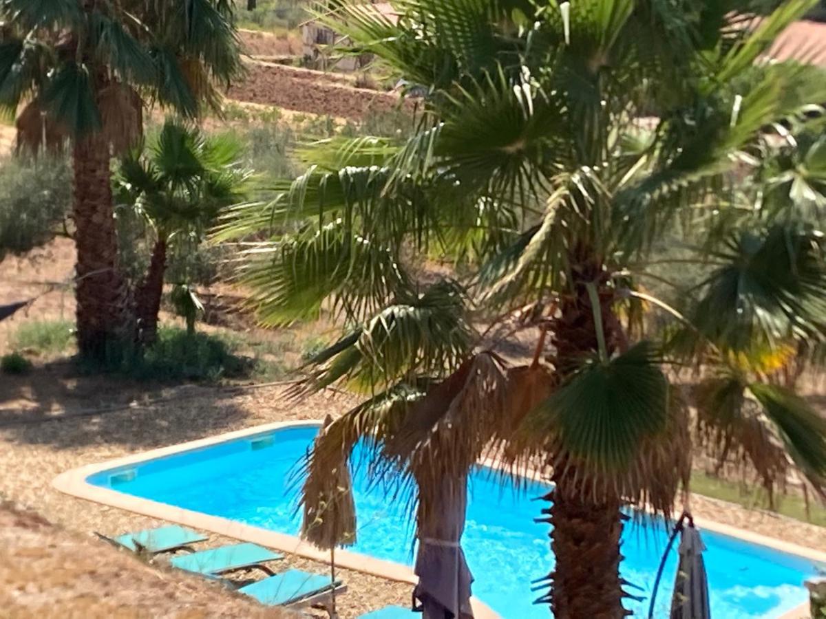 La Venturonne Appartement Neuf Rez De Jardin 45 M2 Vue Mer Et Vignes 10 Mn Des Plages Le Beausset Exteriér fotografie